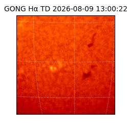 gong - 2026-08-09T13:00:22
