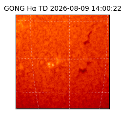 gong - 2026-08-09T14:00:22