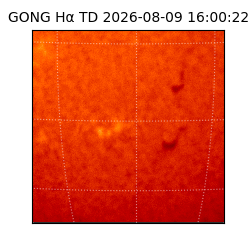 gong - 2026-08-09T16:00:22