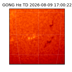 gong - 2026-08-09T17:00:22