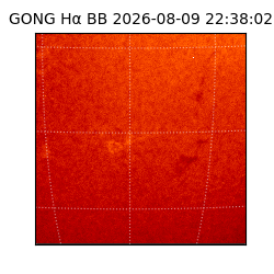 gong - 2026-08-09T22:38:02