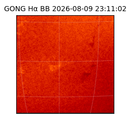 gong - 2026-08-09T23:11:02