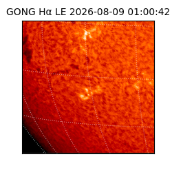 gong - 2026-08-09T01:00:42