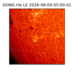gong - 2026-08-09T05:00:42