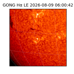 gong - 2026-08-09T06:00:42