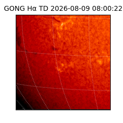 gong - 2026-08-09T08:00:22