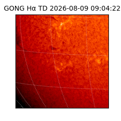 gong - 2026-08-09T09:04:22