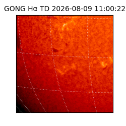 gong - 2026-08-09T11:00:22