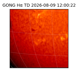 gong - 2026-08-09T12:00:22