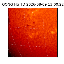 gong - 2026-08-09T13:00:22