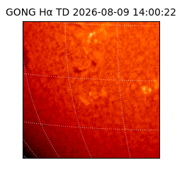 gong - 2026-08-09T14:00:22