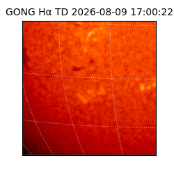 gong - 2026-08-09T17:00:22