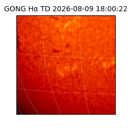 gong - 2026-08-09T18:00:22