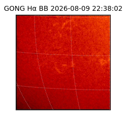 gong - 2026-08-09T22:38:02
