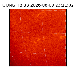 gong - 2026-08-09T23:11:02