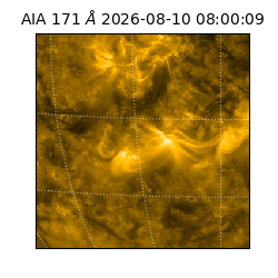 saia - 2026-08-10T08:00:09.351000