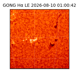 gong - 2026-08-10T01:00:42