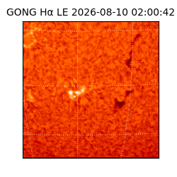 gong - 2026-08-10T02:00:42