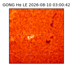 gong - 2026-08-10T03:00:42