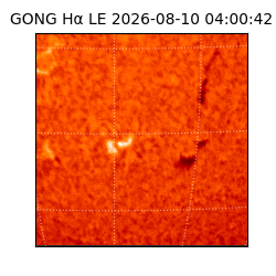 gong - 2026-08-10T04:00:42