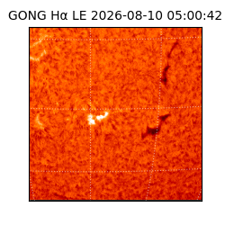gong - 2026-08-10T05:00:42