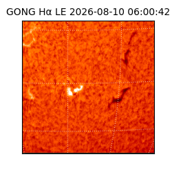 gong - 2026-08-10T06:00:42