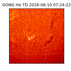 gong - 2026-08-10T07:24:22