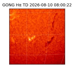 gong - 2026-08-10T08:00:22
