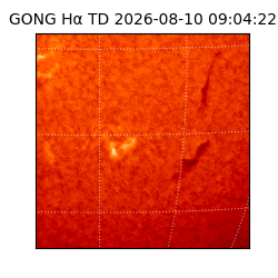 gong - 2026-08-10T09:04:22