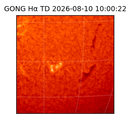 gong - 2026-08-10T10:00:22