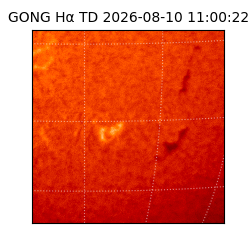 gong - 2026-08-10T11:00:22