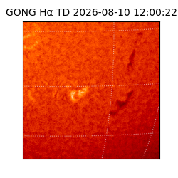 gong - 2026-08-10T12:00:22