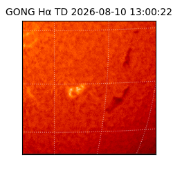 gong - 2026-08-10T13:00:22