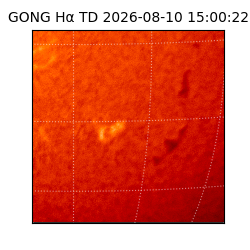 gong - 2026-08-10T15:00:22