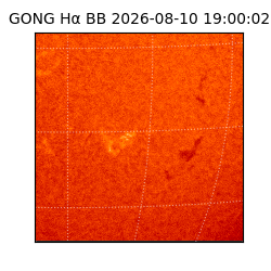 gong - 2026-08-10T19:00:02