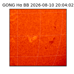 gong - 2026-08-10T20:04:02