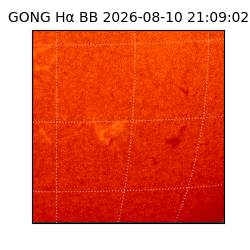 gong - 2026-08-10T21:09:02