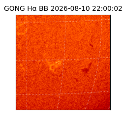 gong - 2026-08-10T22:00:02