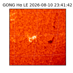 gong - 2026-08-10T23:41:42