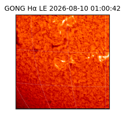 gong - 2026-08-10T01:00:42