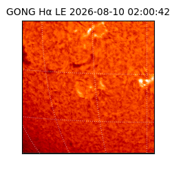 gong - 2026-08-10T02:00:42