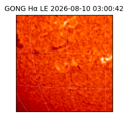 gong - 2026-08-10T03:00:42