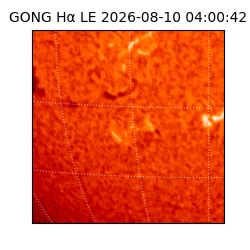 gong - 2026-08-10T04:00:42