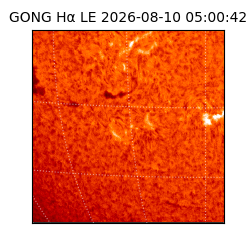 gong - 2026-08-10T05:00:42