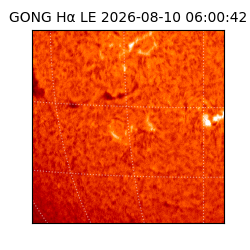 gong - 2026-08-10T06:00:42
