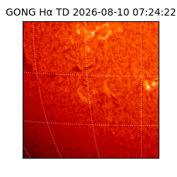 gong - 2026-08-10T07:24:22
