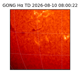 gong - 2026-08-10T08:00:22