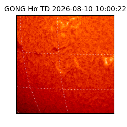 gong - 2026-08-10T10:00:22