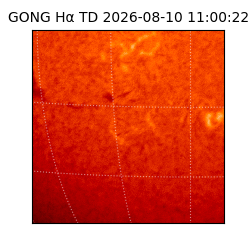 gong - 2026-08-10T11:00:22