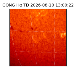 gong - 2026-08-10T13:00:22